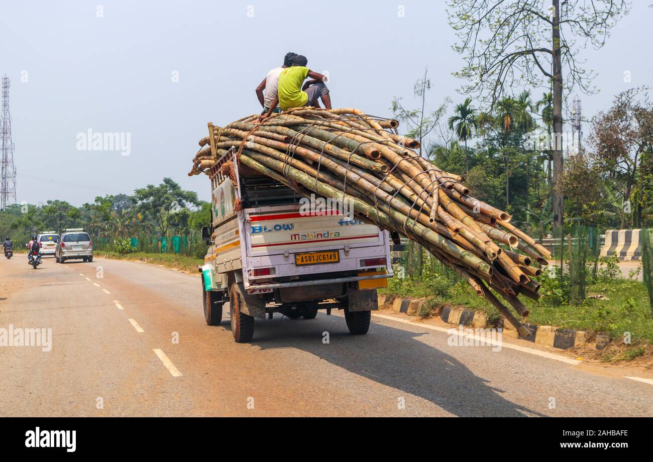 Les grandes perches en bambou avec des hommes assis sur le dessus de leur transport par route à l'arrière d'un camion près de Kaziranga, Golaghat District, Bochagaon, Assam, Inde Banque D'Images