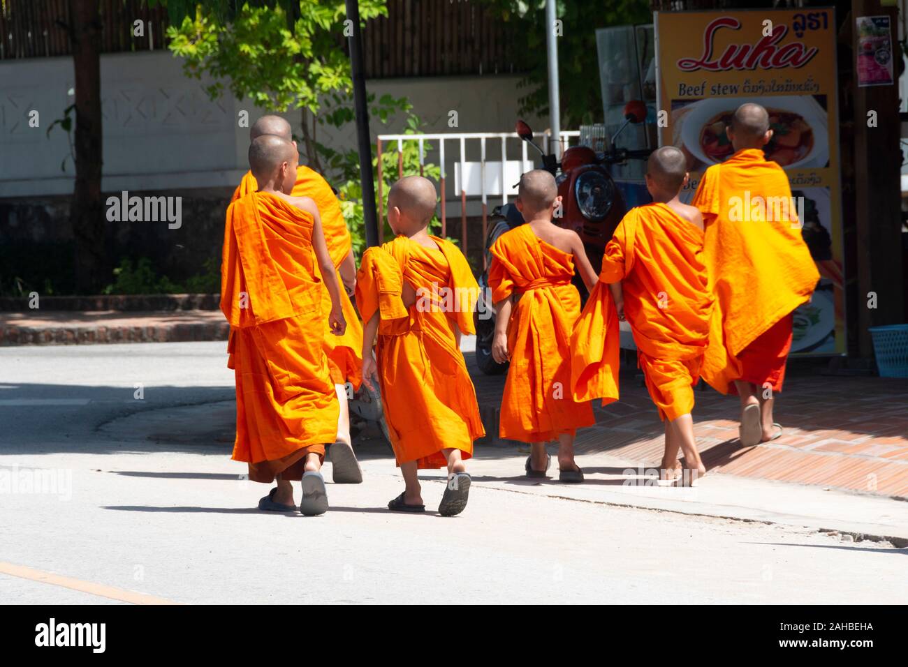 Jeunes moines walking in street, Luang Prabang, Laos Banque D'Images