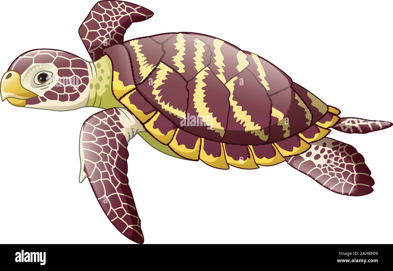 Cartoon tortue de mer isolé sur fond blanc Illustration de Vecteur
