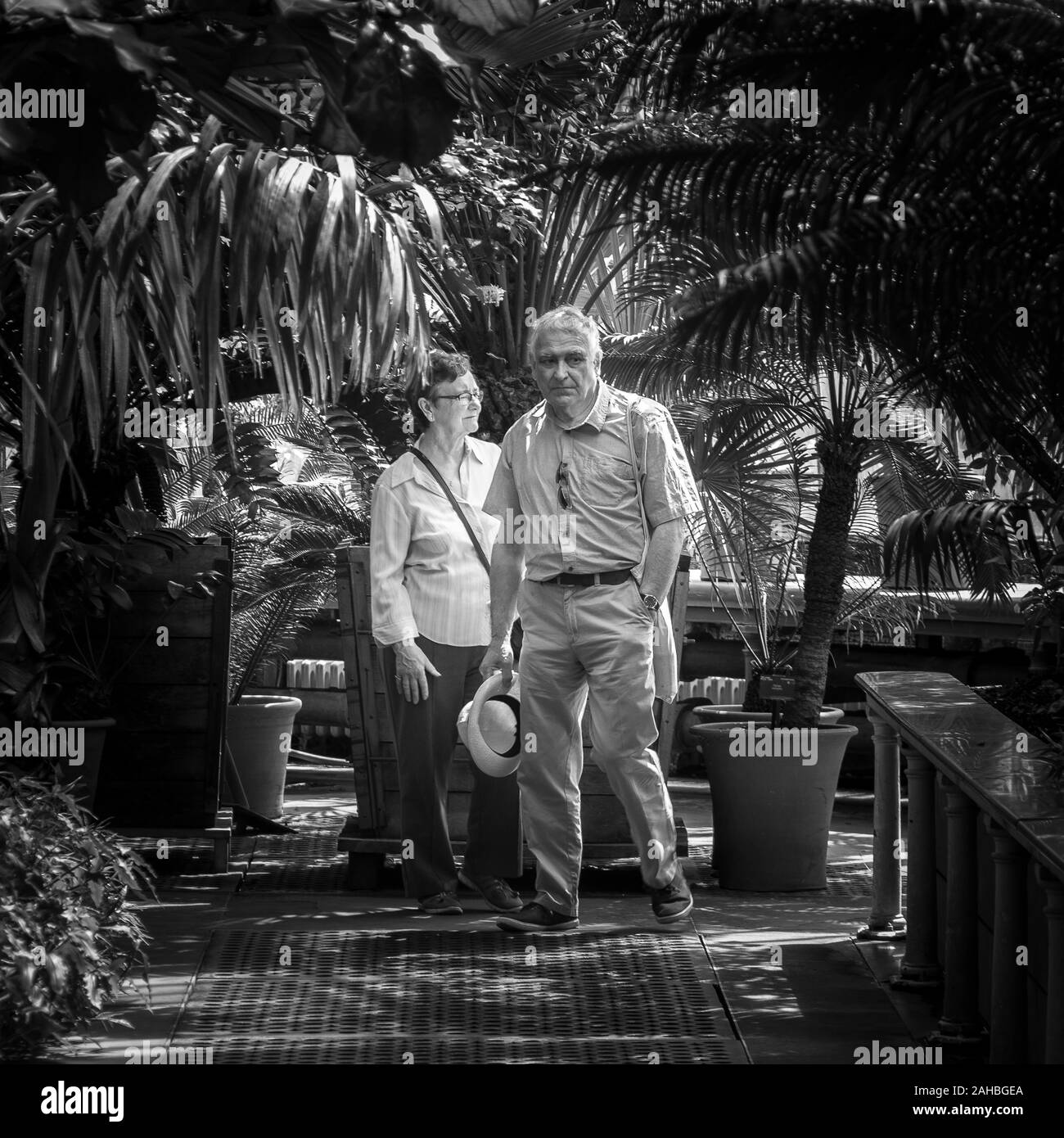 Couple explorer le jardin botanique de Kew Gardens, Londres Banque D'Images