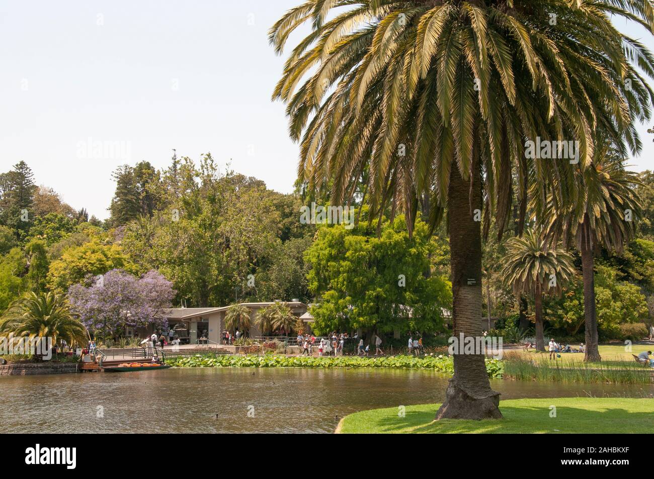 La terrasse du café à la Royal Botanic Gardens, Melbourne, Australie Banque D'Images