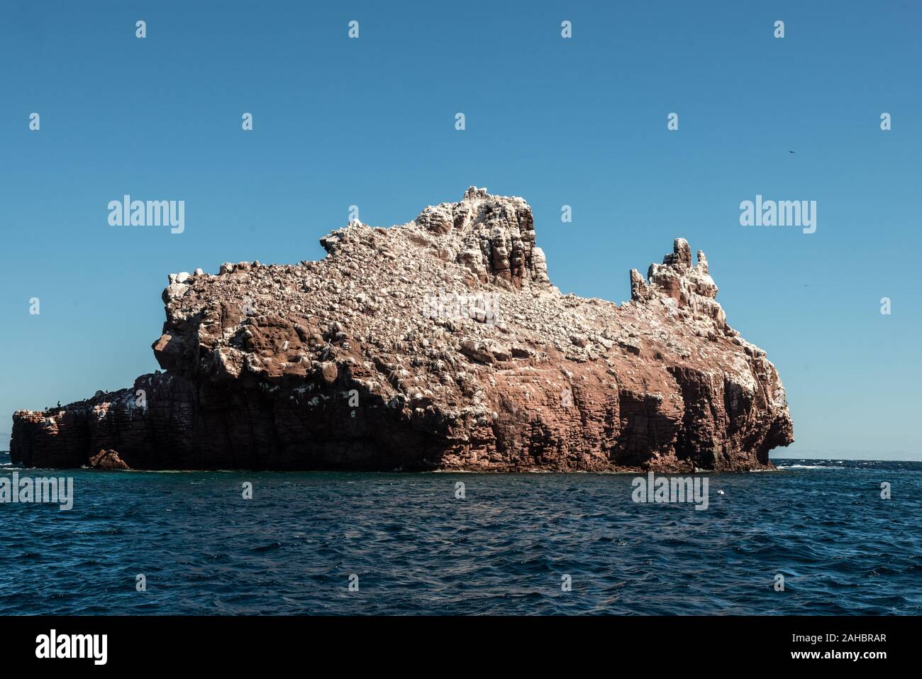 Mer de Cortez, Baja California, Mexique Banque D'Images
