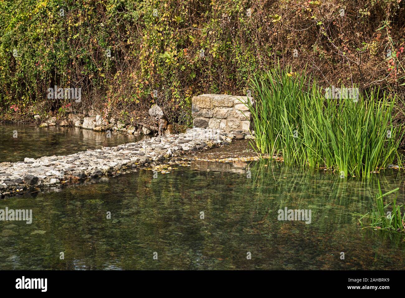 Barrage antique formant une piscine de Banias hermon springs en Israël avec des pierres montrant à travers le cristal de l'eau de source claire et la végétation riveraine Banque D'Images