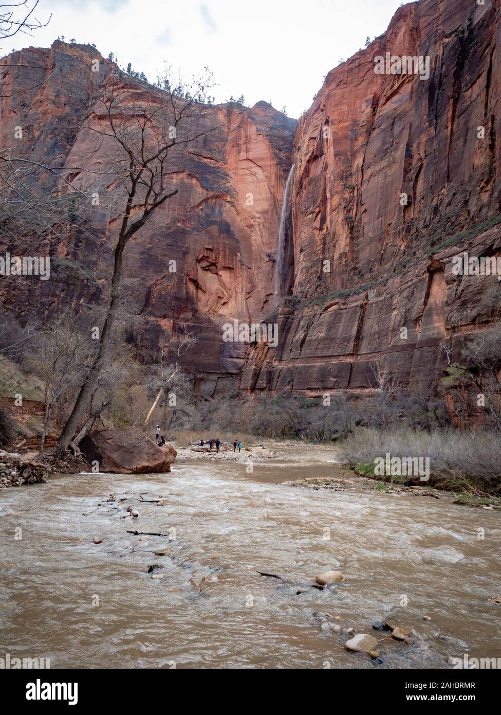 Sentier riverain au Narrows randonnée pédestre, Zion National Park, Utah, USA Banque D'Images