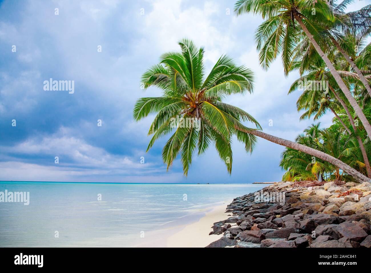 Vue sur les palmiers, l'eau et la plage sur la côte de Maldive Banque D'Images