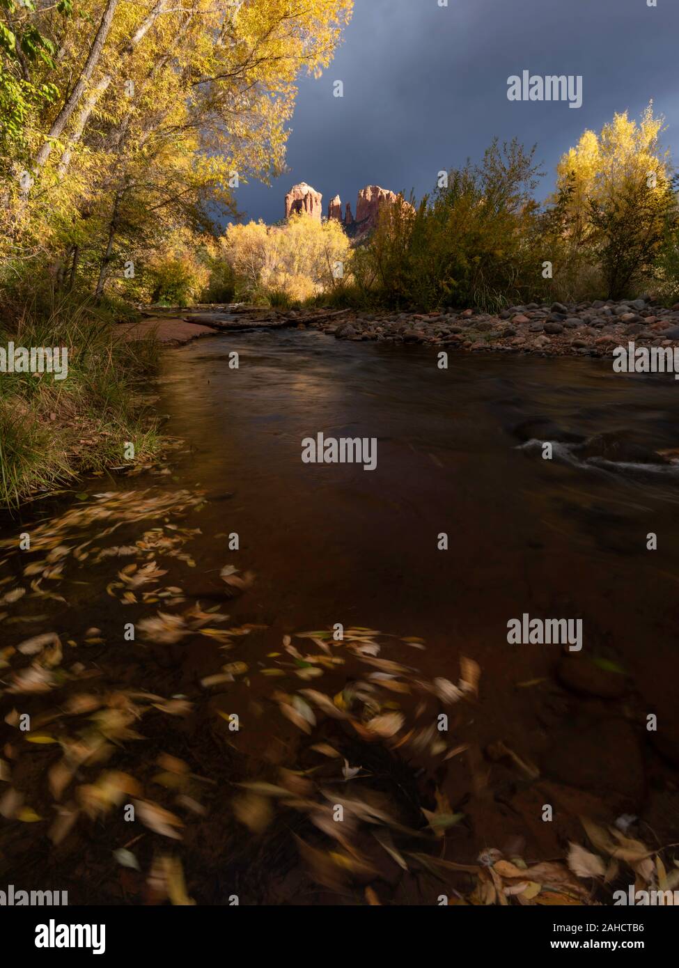 La couleur en automne et stormlight sur Oak Creek et de la cathédrale de rochers, Red Rock Crossing Park, Sedona Banque D'Images