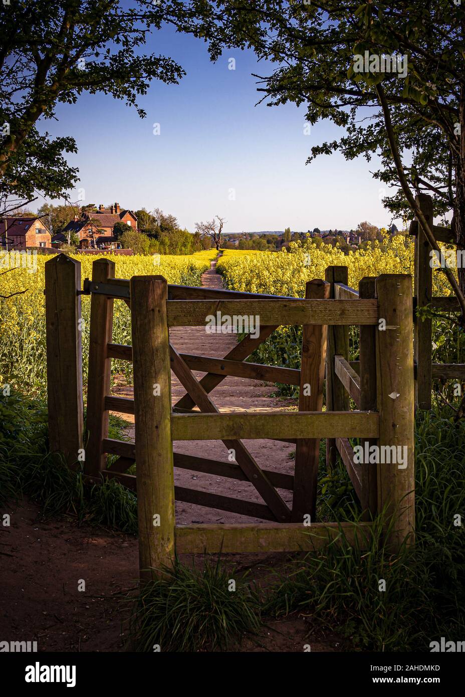 Porte rustique en bois menant à un sentier pittoresque entouré de champs d'or luxuriants Banque D'Images