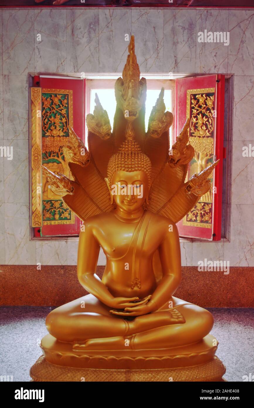 Une statue en or de Bouddha assis en méditation protégés par des serpents Naga à Wat Chalong temple, situé à Phuket, Thaïlande. Banque D'Images