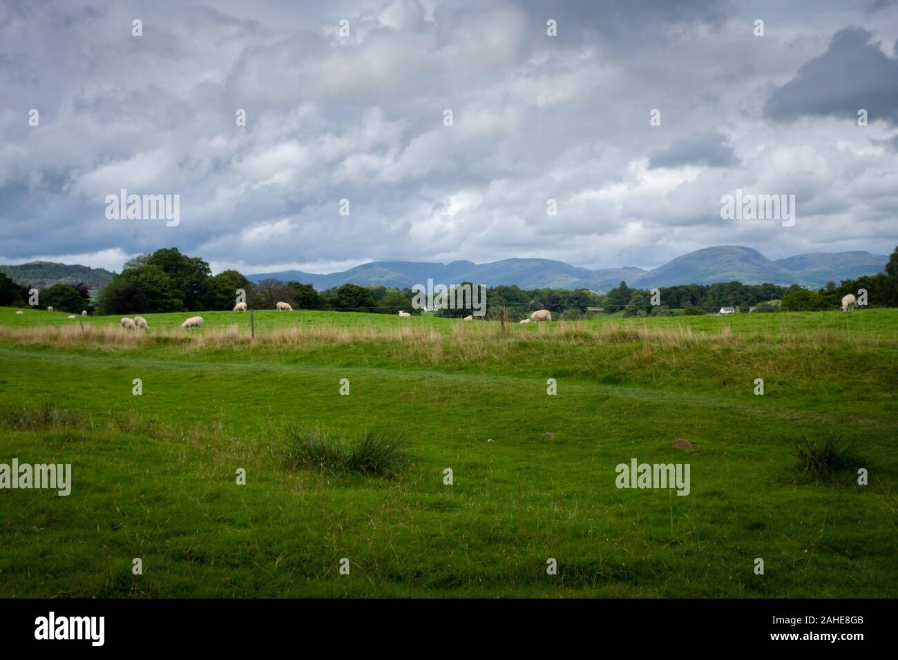 Hawkshead et ses environs, Lake District, Royaume-Uni Banque D'Images