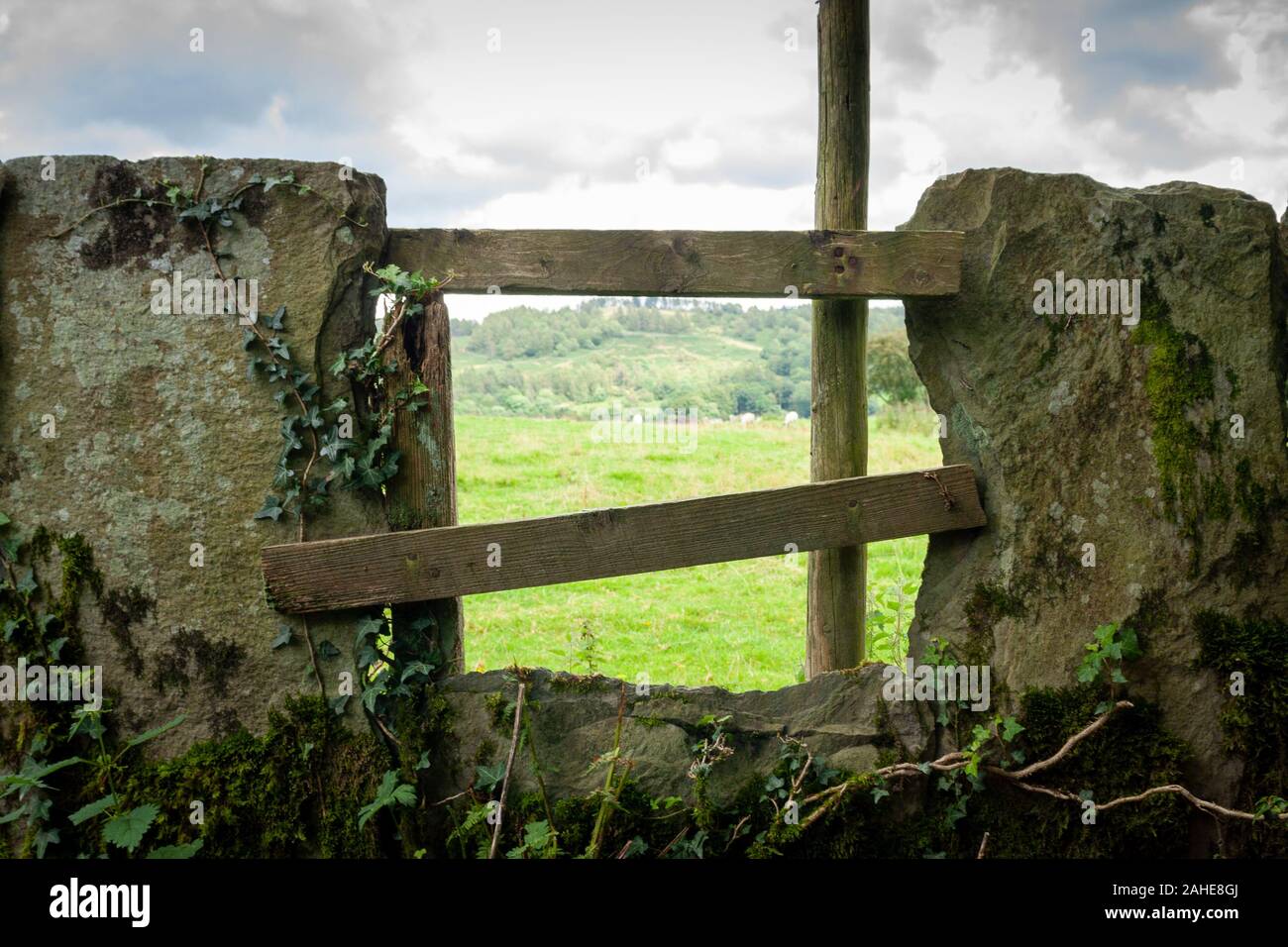 Hawkshead et ses environs, Lake District, Royaume-Uni Banque D'Images