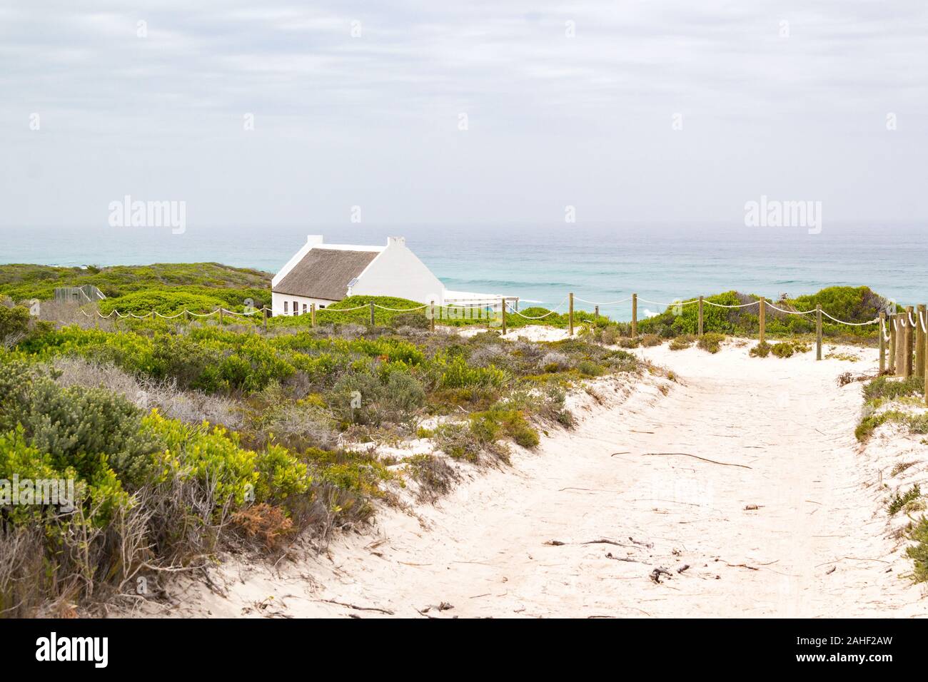 Littoral avec piste de sable menant à l'océan entouré de végétation fynbos, De Hoop Nature Reserve, Afrique du Sud Banque D'Images