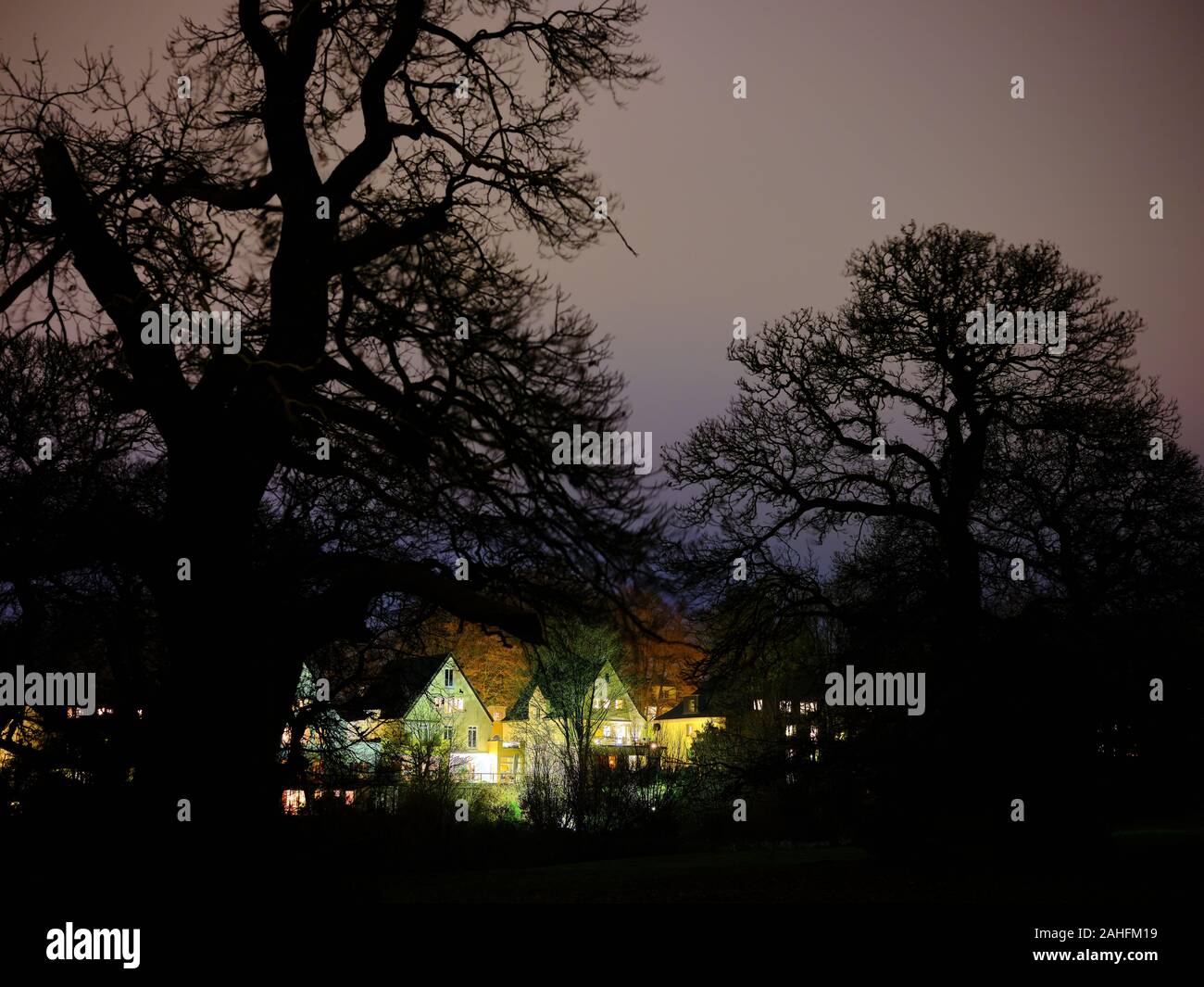 Châtaigniers sur un pré sous un ciel étoilé après le coucher du soleil, allumé des maisons traditionnelles à l'arrière-plan Banque D'Images