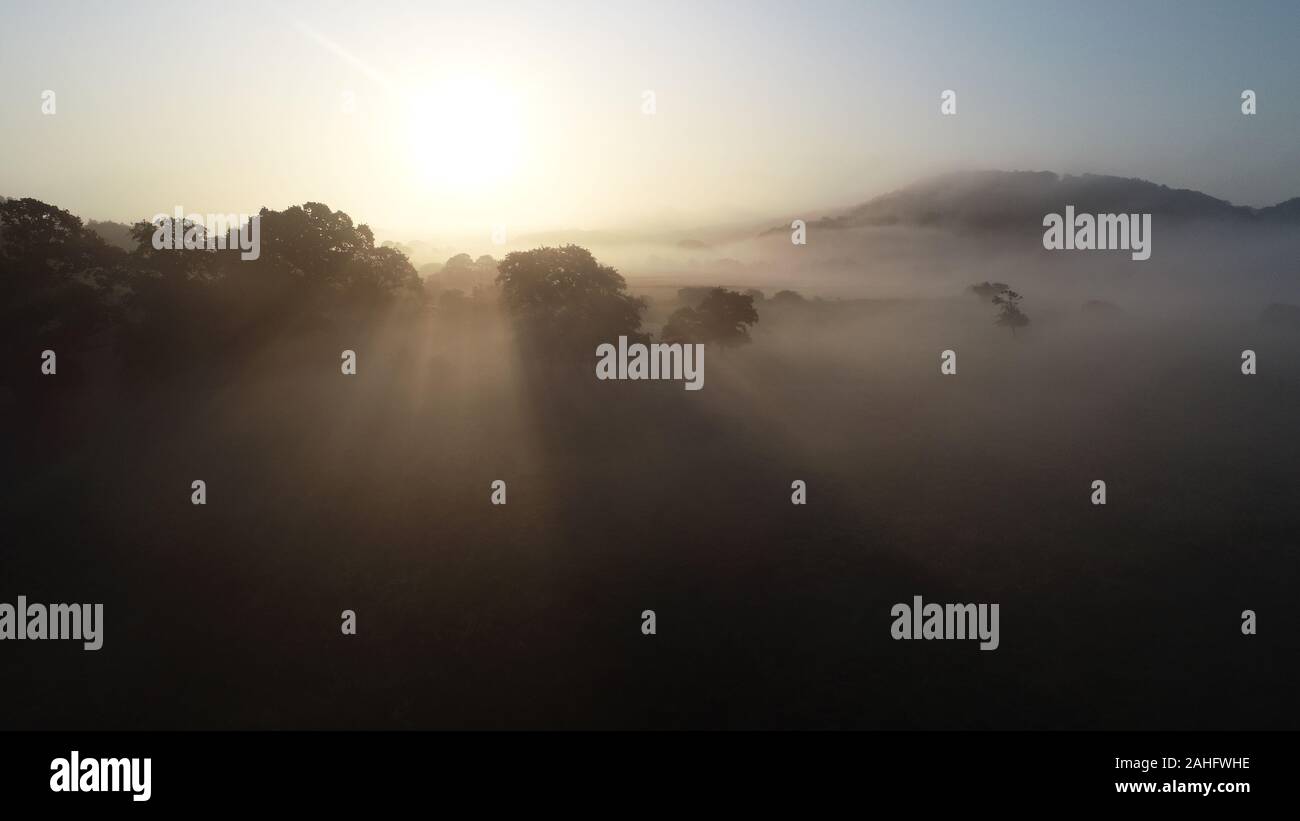 Lever du soleil et le brouillard dans la vallée de la rivière, Ravning Vejle, Danemark Banque D'Images