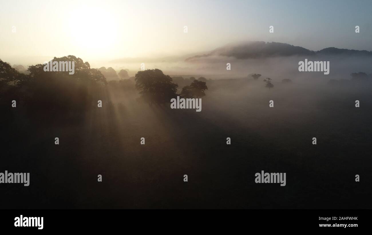 Lever du soleil et le brouillard dans la vallée de la rivière, Ravning Vejle, Danemark Banque D'Images