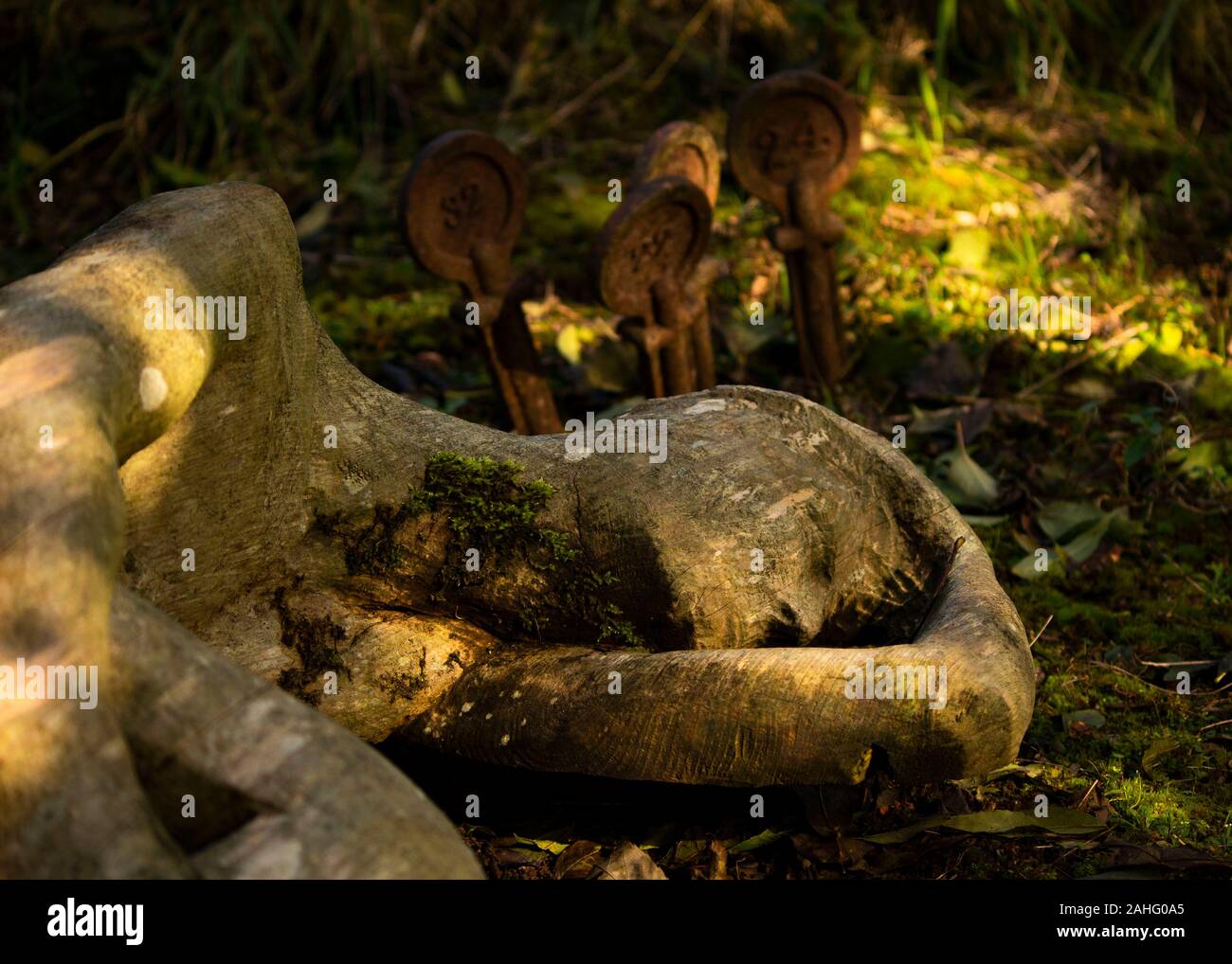 Une sculpture en bois dans le cimetière de l'hôpital de Mendip dans Wells, Somerset. Par l'artiste Peter Bolton. Les pierres tombales indiquent dans l'arrière-plan. Banque D'Images