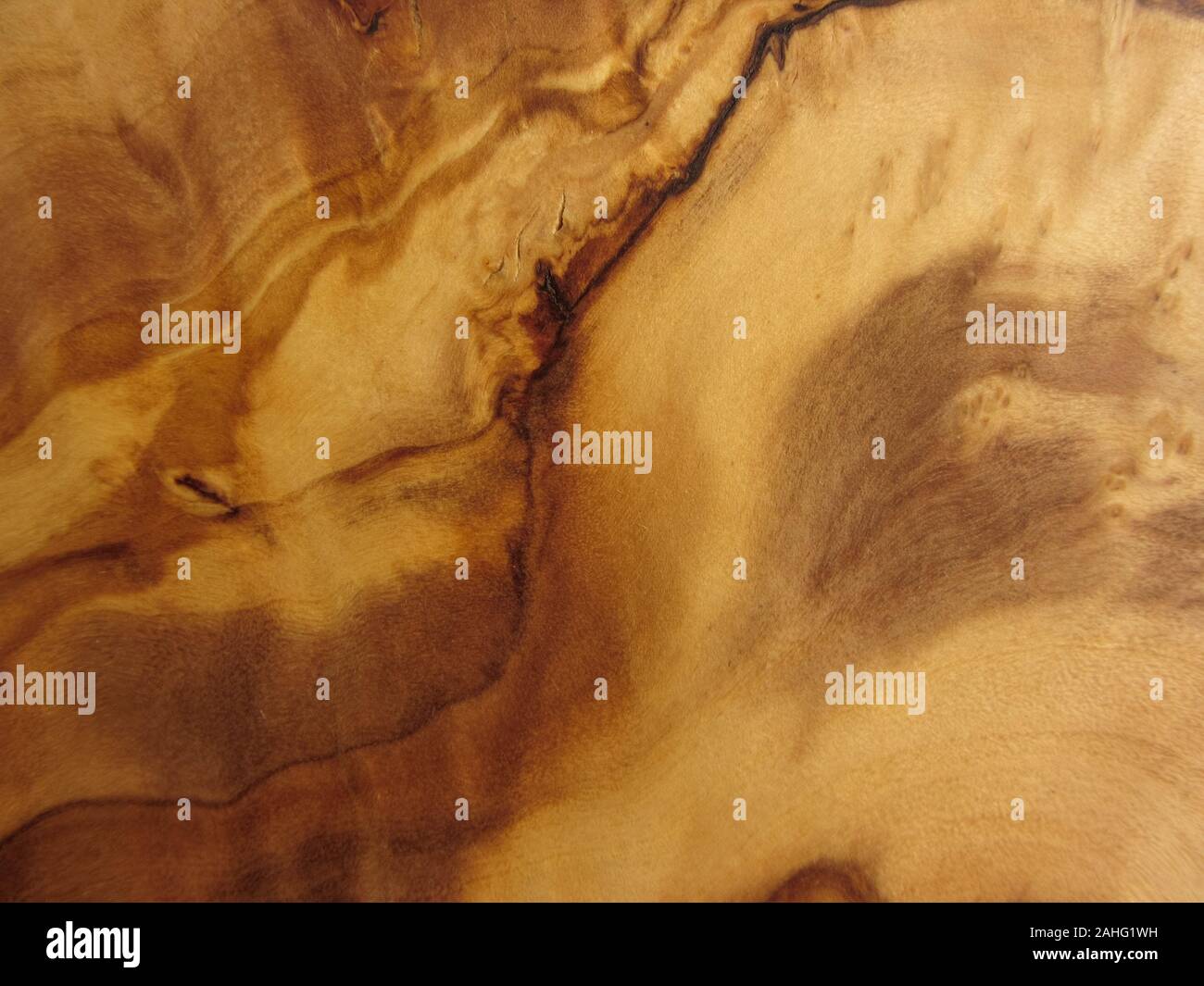 La texture d'un bois d'olive Banque D'Images