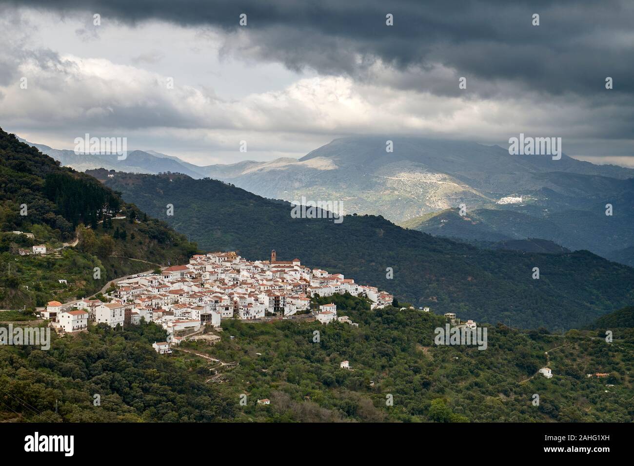 Maisons aux murs blancs dans un village de l'Andalousie, espagne. Banque D'Images