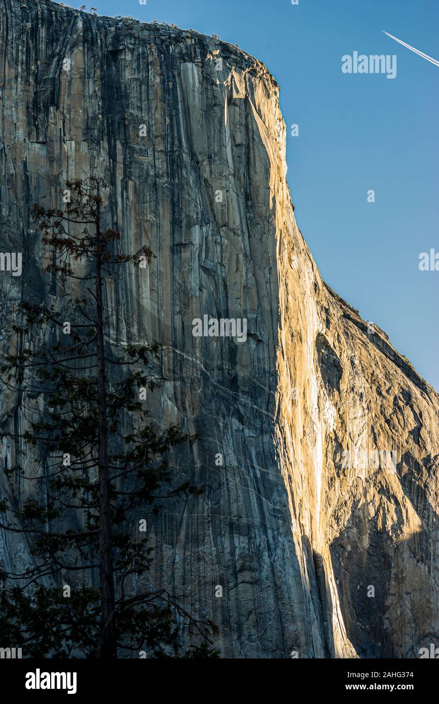 El Capitan dans la lumière du matin, parc national de Yosemite, Californie Banque D'Images