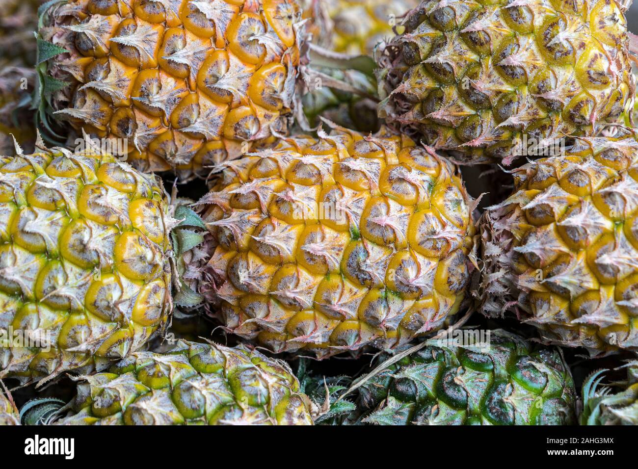 Gros plan sur les ananas entiers sur un marché urbain de Bangkok, Thaïlande Banque D'Images