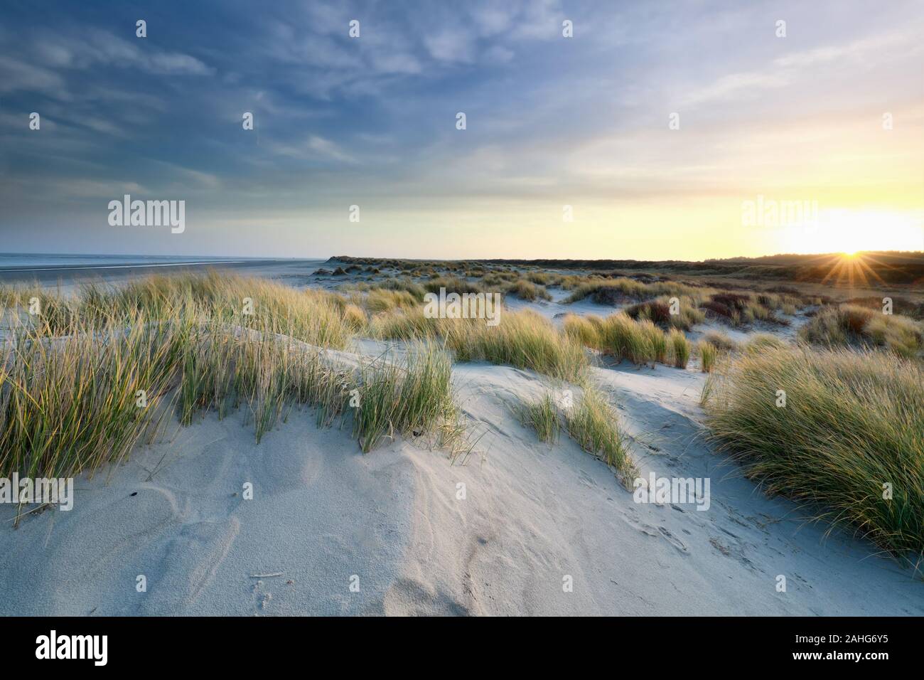 Le lever du soleil sur les dunes de sable de la côte de la mer du Nord, Schiermonnikoog, Holland Banque D'Images
