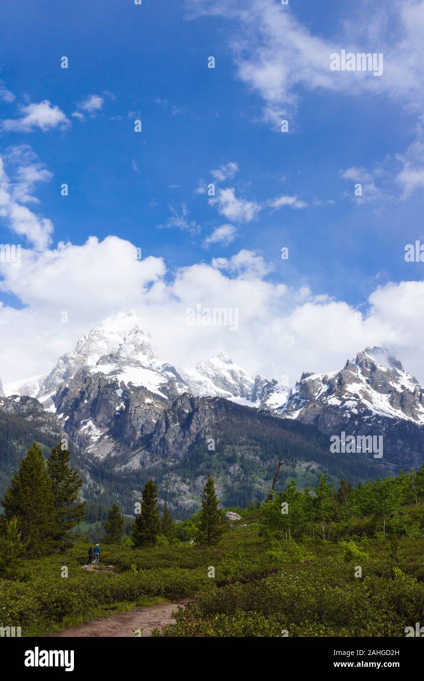 Randonneurs sur le sentier du lac Taggart, Parc National de Grand Teton, Wyoming, United States Banque D'Images