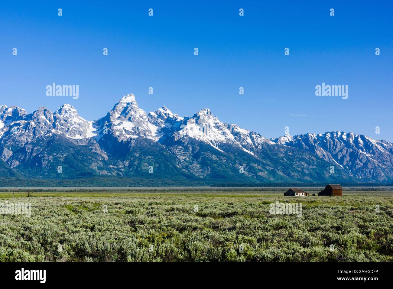 Mormon Row Historic District, comté de Teton, Wyoming, United States Banque D'Images