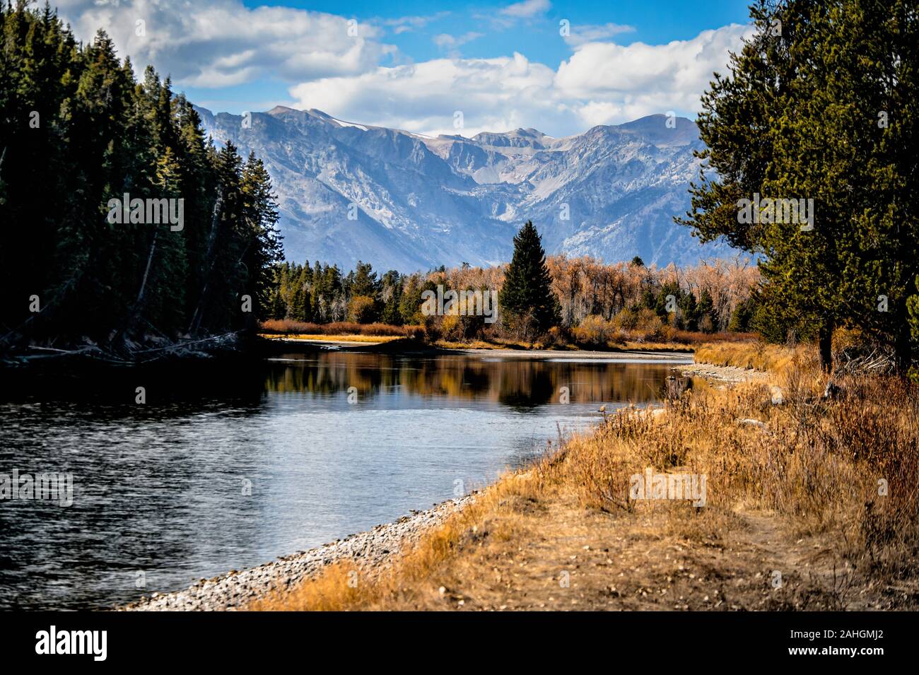 Au début de l'automne dans le Parc National de Grand Teton, Jackson Hole, Wyoming Banque D'Images