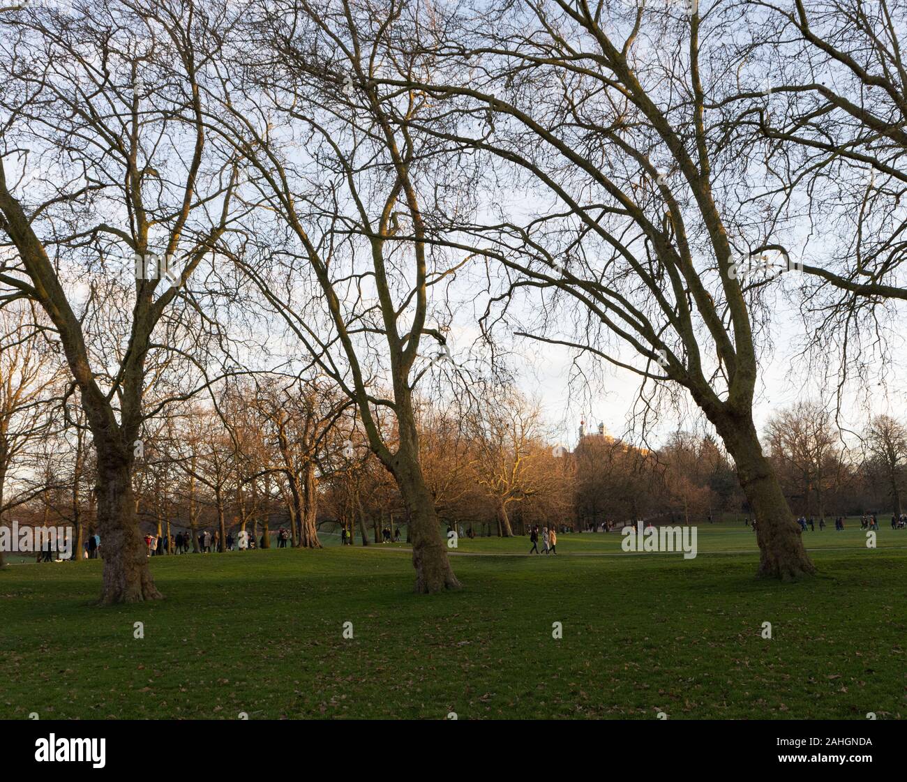 Le Parc de Greenwich avec Old Royal Observatory en hiver Banque D'Images