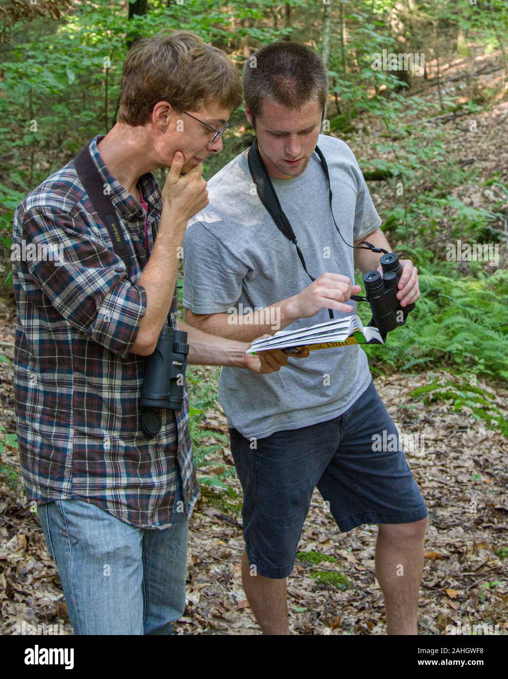 Deux jeunes hommes l'observation des oiseaux dans les bois Banque D'Images
