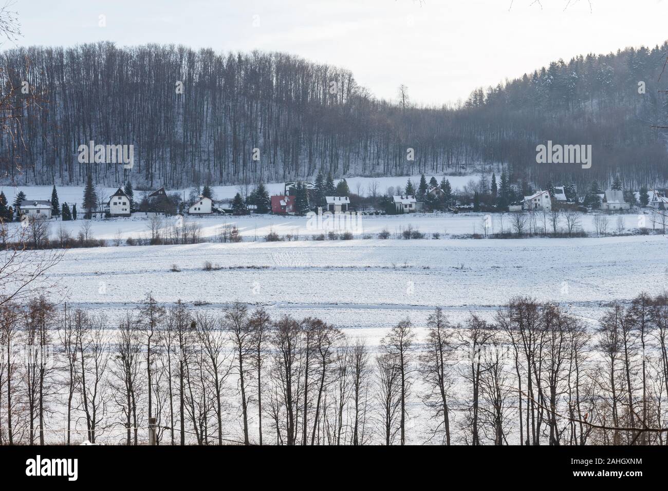 Paysage de campagne d'hiver en Pologne Banque D'Images