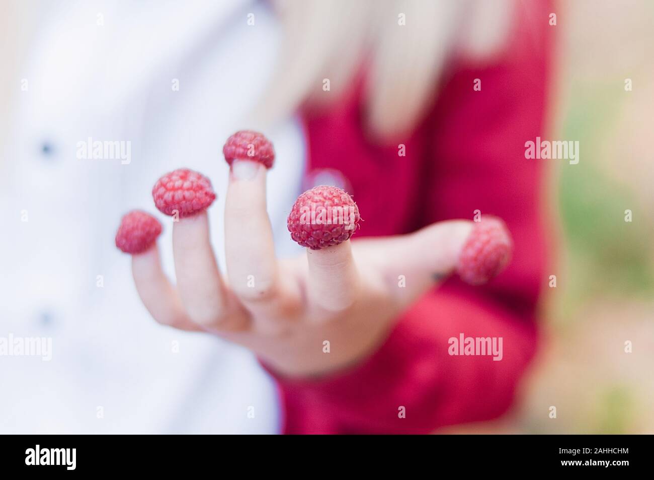 Petit enfant avec la main de framboises sur les doigts. Jeune fille est maintenant framboises sur ses doigts, tirez sur l'extérieur Banque D'Images