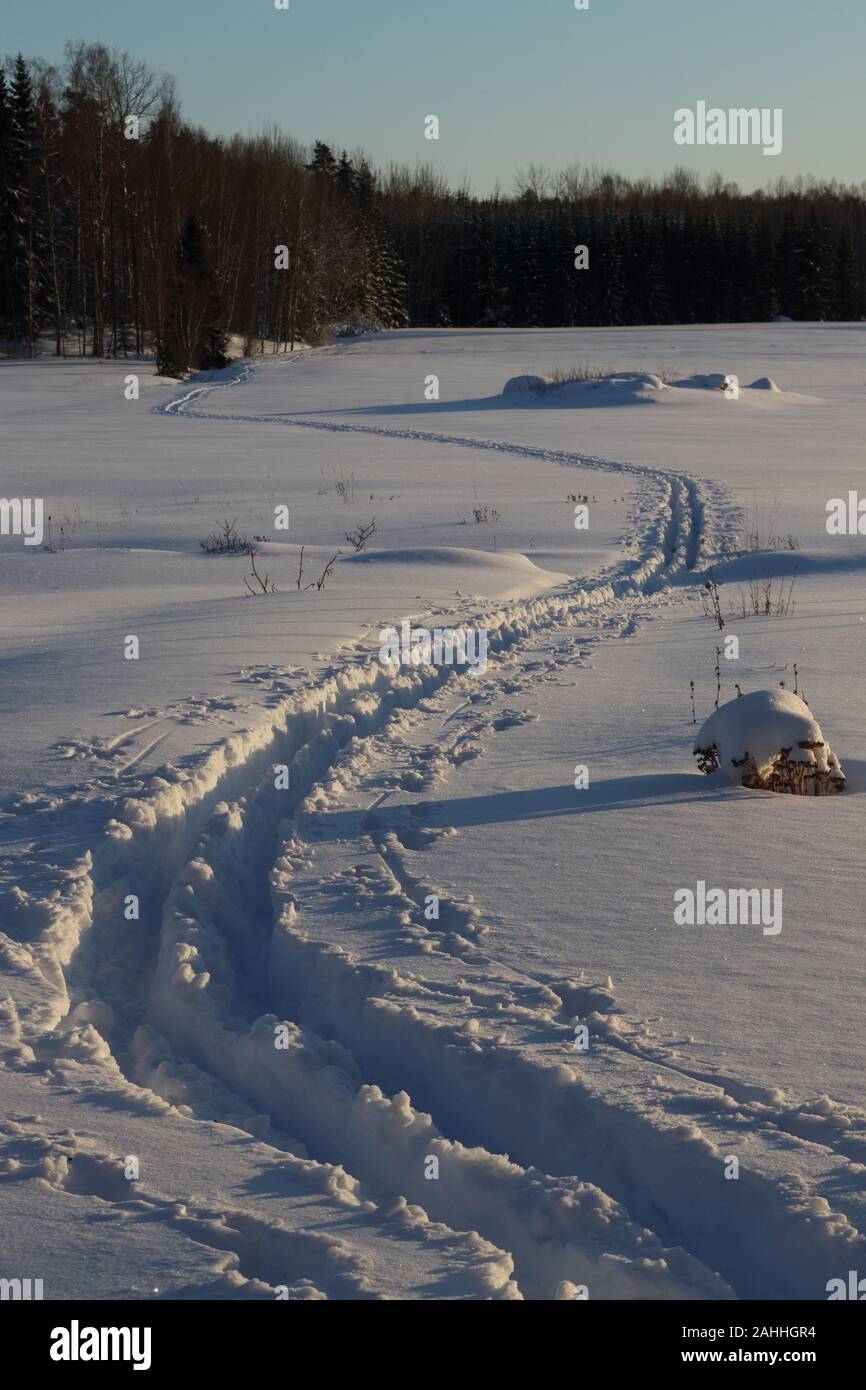 Pistes de ski de fond. Banque D'Images