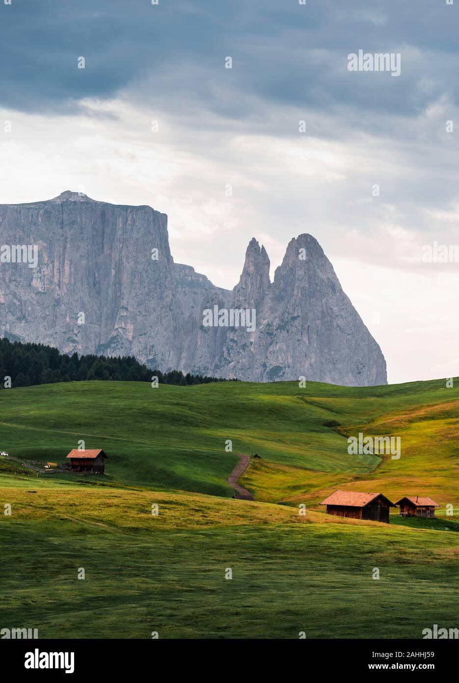 Quelques photos de la belle, Sudtirol Seiser Alm, un lieu célèbre pour les vacances, avec ses prairies de fleurs, les pics, et des chalets. Banque D'Images