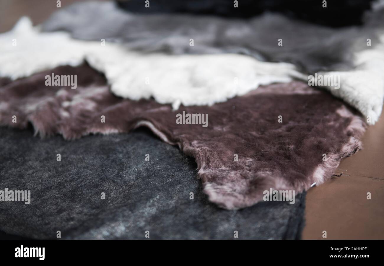 Morceaux de fourrure solides de différentes couleurs pour l'utilisation dans des chaussures confortables et chaleureux à coudre dans une usine de chaussures. Banque D'Images
