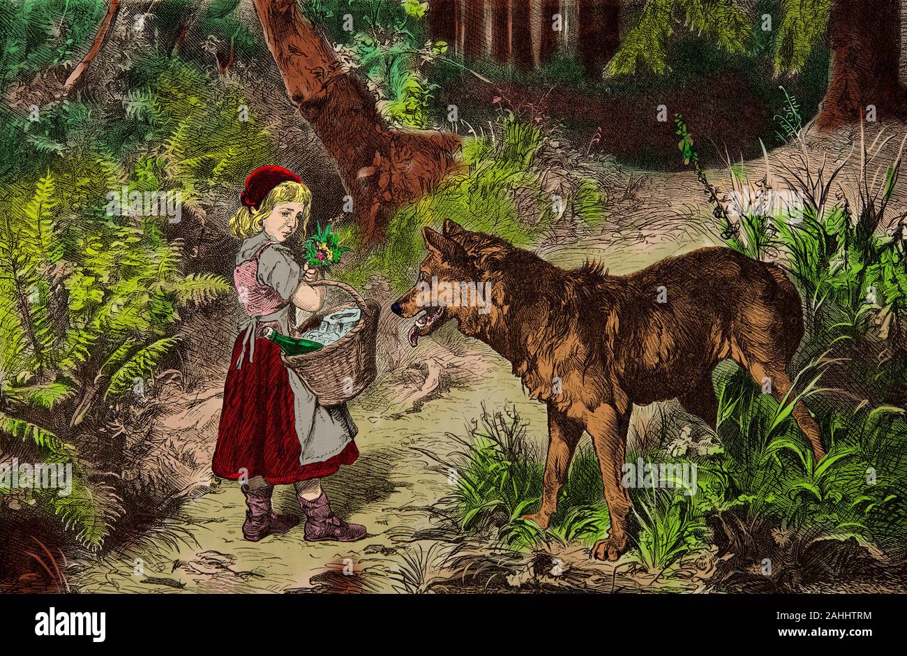 La gravure , Le petit chaperon rouge et le loup dans le bois Banque D'Images