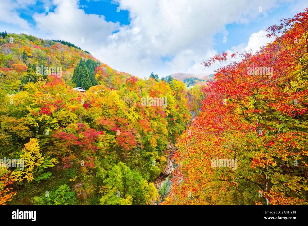 Oyasukyo Gorge, dans la préfecture d'Akita, Tohoku, Japon. Banque D'Images