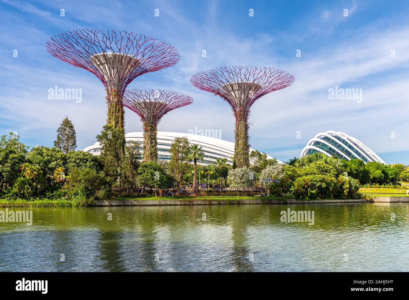 Singapour, Singapour - 8 juin 2019 : Supertree des jardins par la baie de Singapour. Banque D'Images
