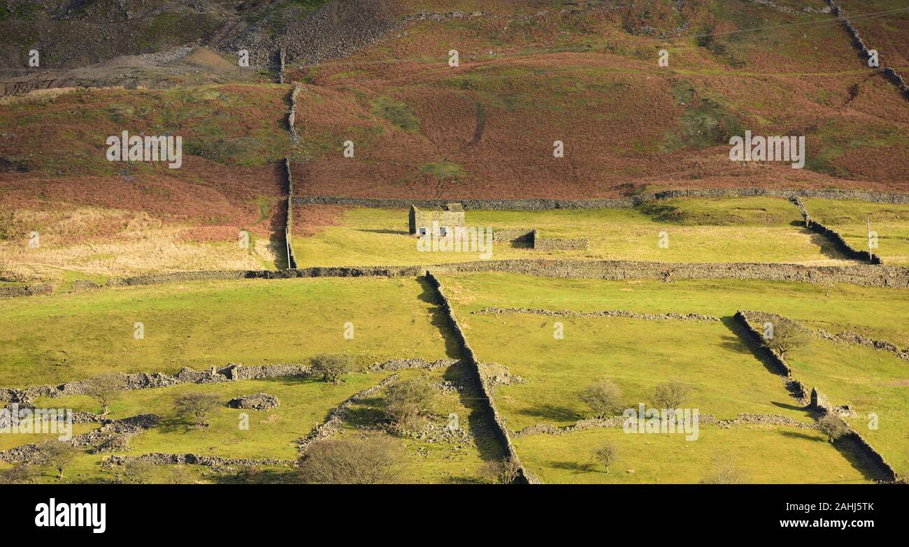 Les murs en pierre sèche et une grange sur le terrain sur une colline dans Arkengarthdale. Banque D'Images