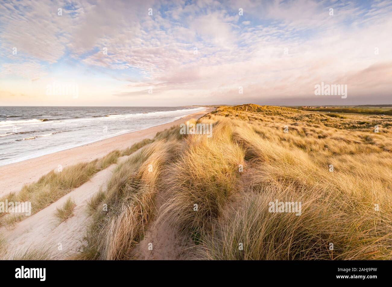 Dunes de sable et l'ammophile sur Druridge Bay une longue plage de sable déserte à distance sur la côte de Northumberland Banque D'Images