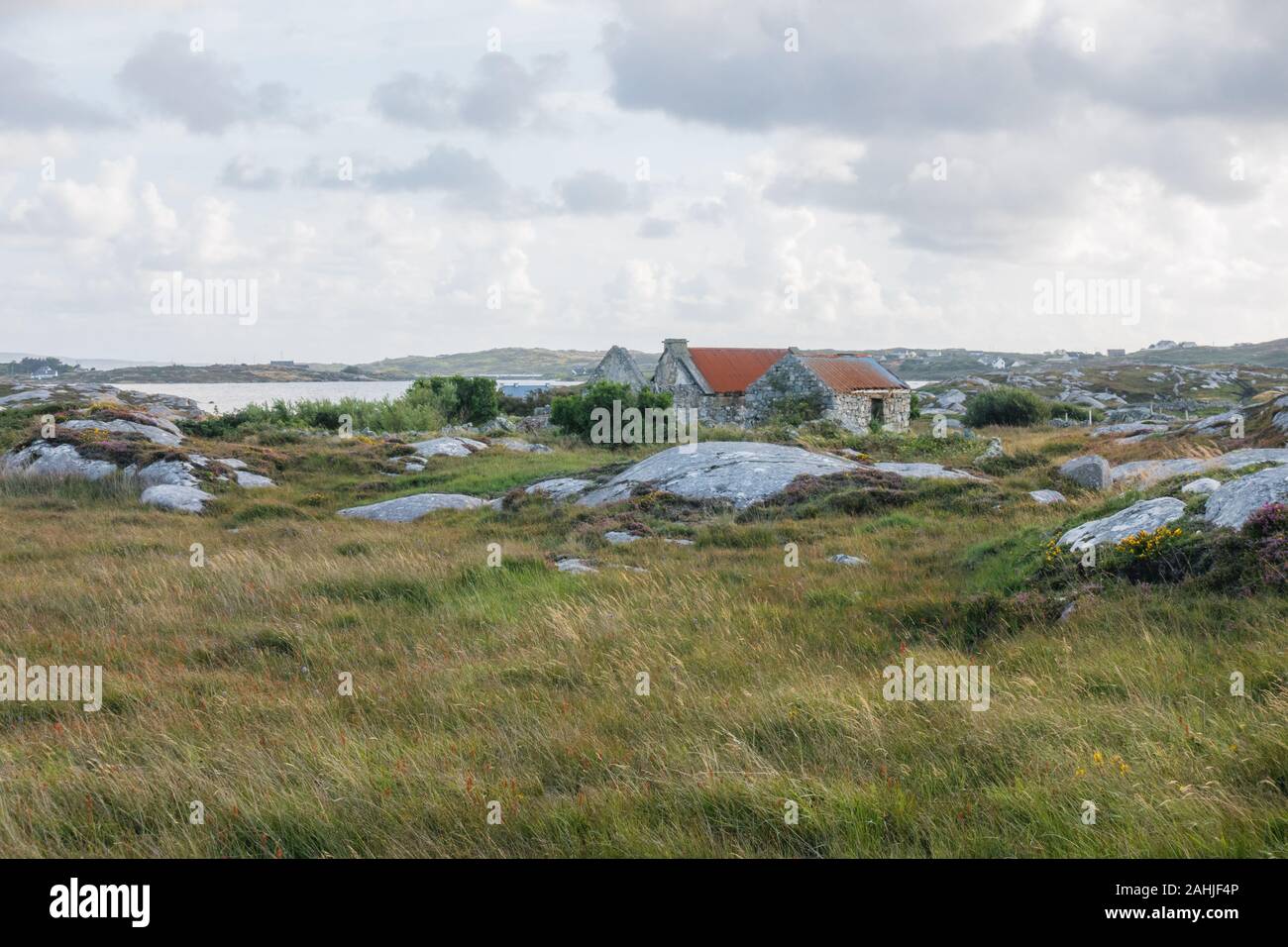 Paysage de la baie de campagne irlandaise à Connemara Banque D'Images