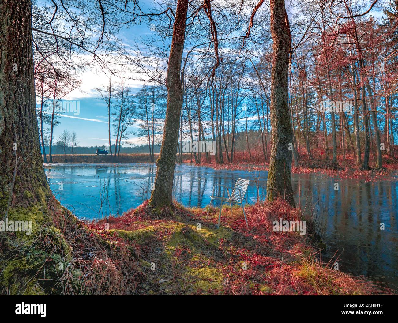 Dimanche à pied aorund un petit lac avec un petit bois erlenmoos, Rot an der Rot Banque D'Images