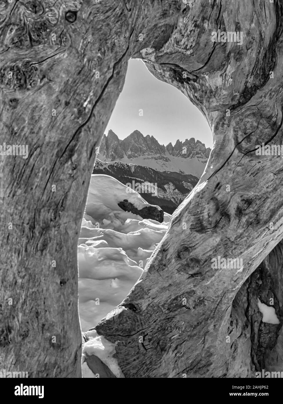 Montagnes enneigées, Dolomites italiennes, UNESCO World Heritage Site, Popena Haute Vallée. Noir et blanc. Banque D'Images
