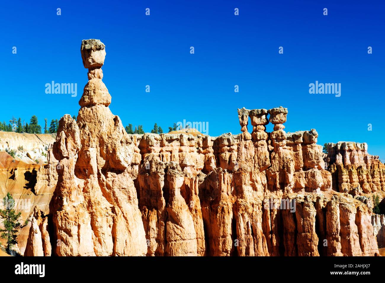 Thors Hammer et hoodoos contre un ciel bleu, Bryce Canyon National Park, Utah, USA. Banque D'Images