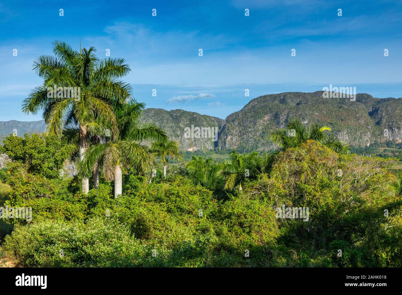 Vue panoramique sur le paysage avec des mogotes en Vallée de Vinales, Cuba. Banque D'Images