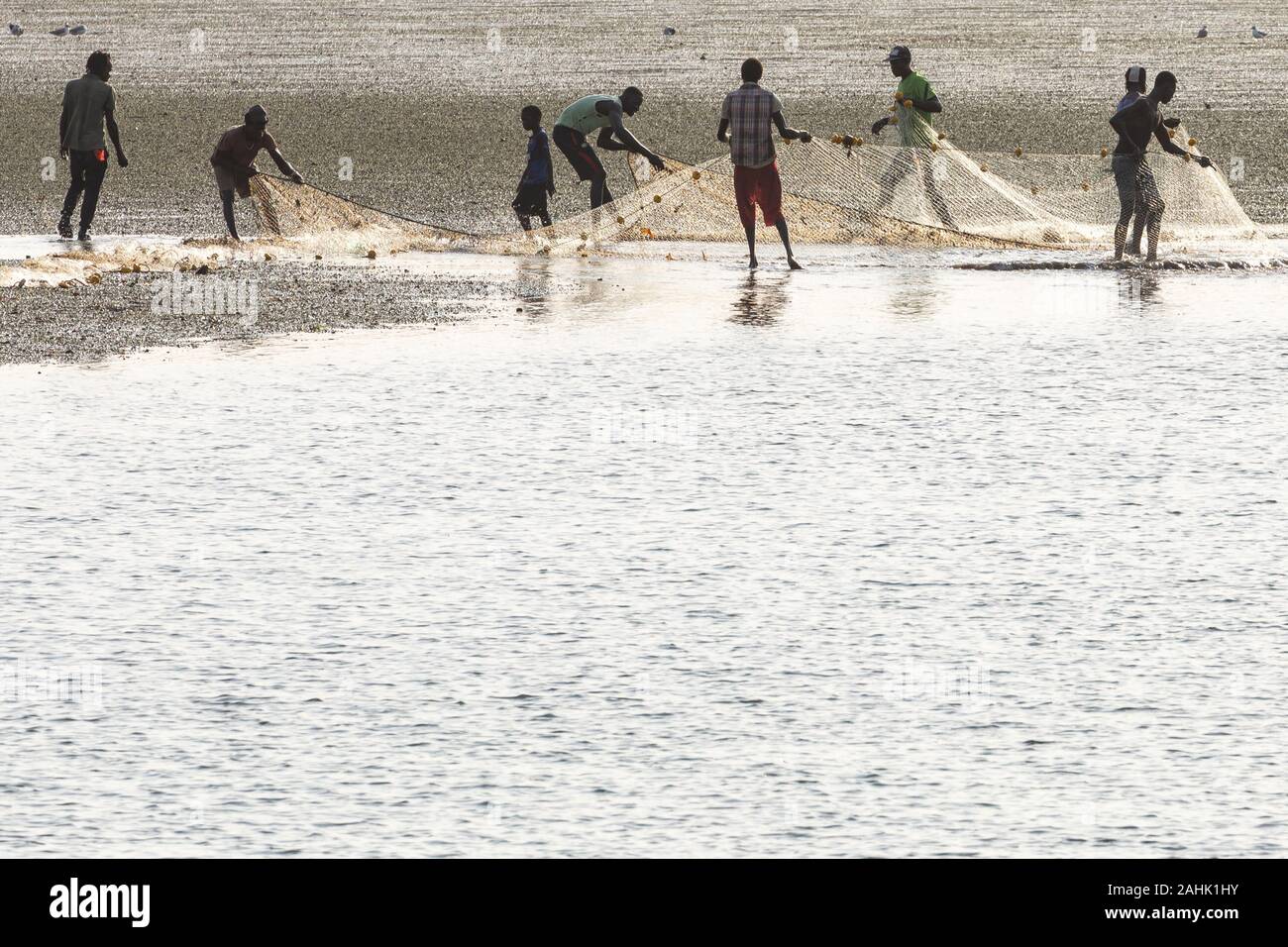 JOAL-FADIOUTH, SÉNÉGAL - novembre15, 2019 : la collecte des pêcheurs de coquillages. Fadiauth Hstoric Island. Le Sénégal. L'Afrique de l'Ouest. Banque D'Images