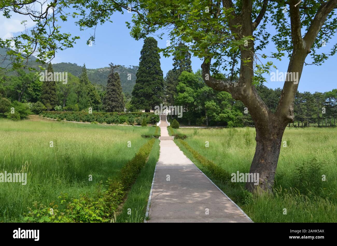 YALTA, Crimée - Mai 14,2012 : Promenade dans le parc du palais Massandra. La Crimée Banque D'Images