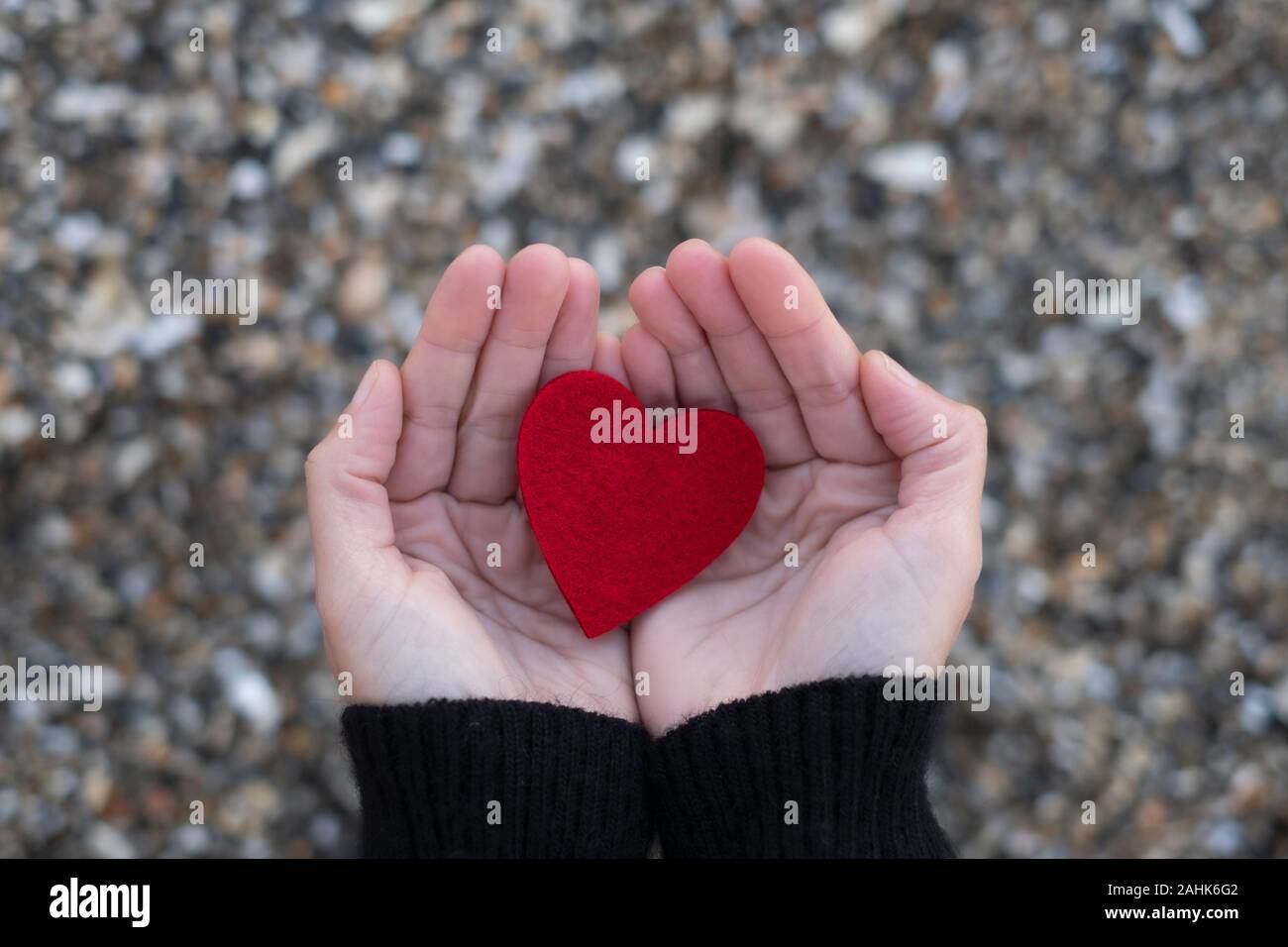 Coeur rouge entre les mains d'une femme sur un fond de pierres de plage.concept de san valentin Banque D'Images