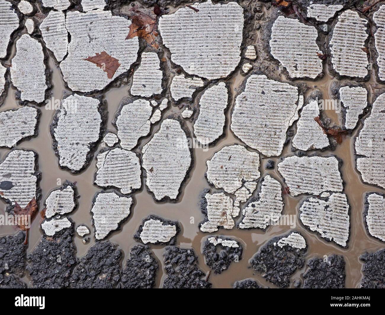 Ensemble de pluie sale entre les fragments brisés de sécurité blanc texturé noir sur surface goudronnée avec brown feuilles tombées à Bayonne, France Banque D'Images