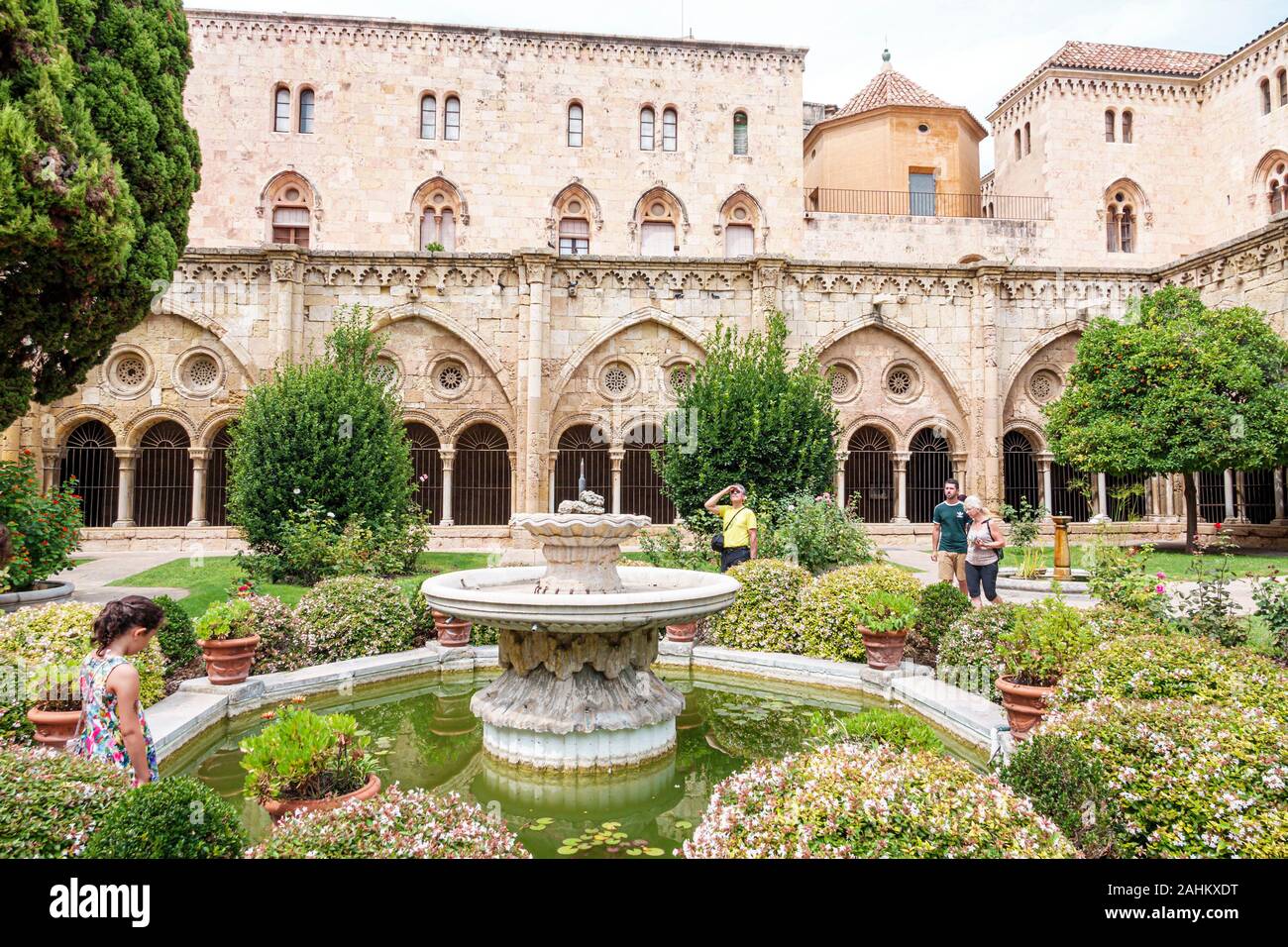 Tarragona Espagne hispanique Catalogne Cathédrale métropolitaine Basilique,Basilique Catedral,Eglise catholique,cloître,romane,cour,paysage,jardin, Banque D'Images