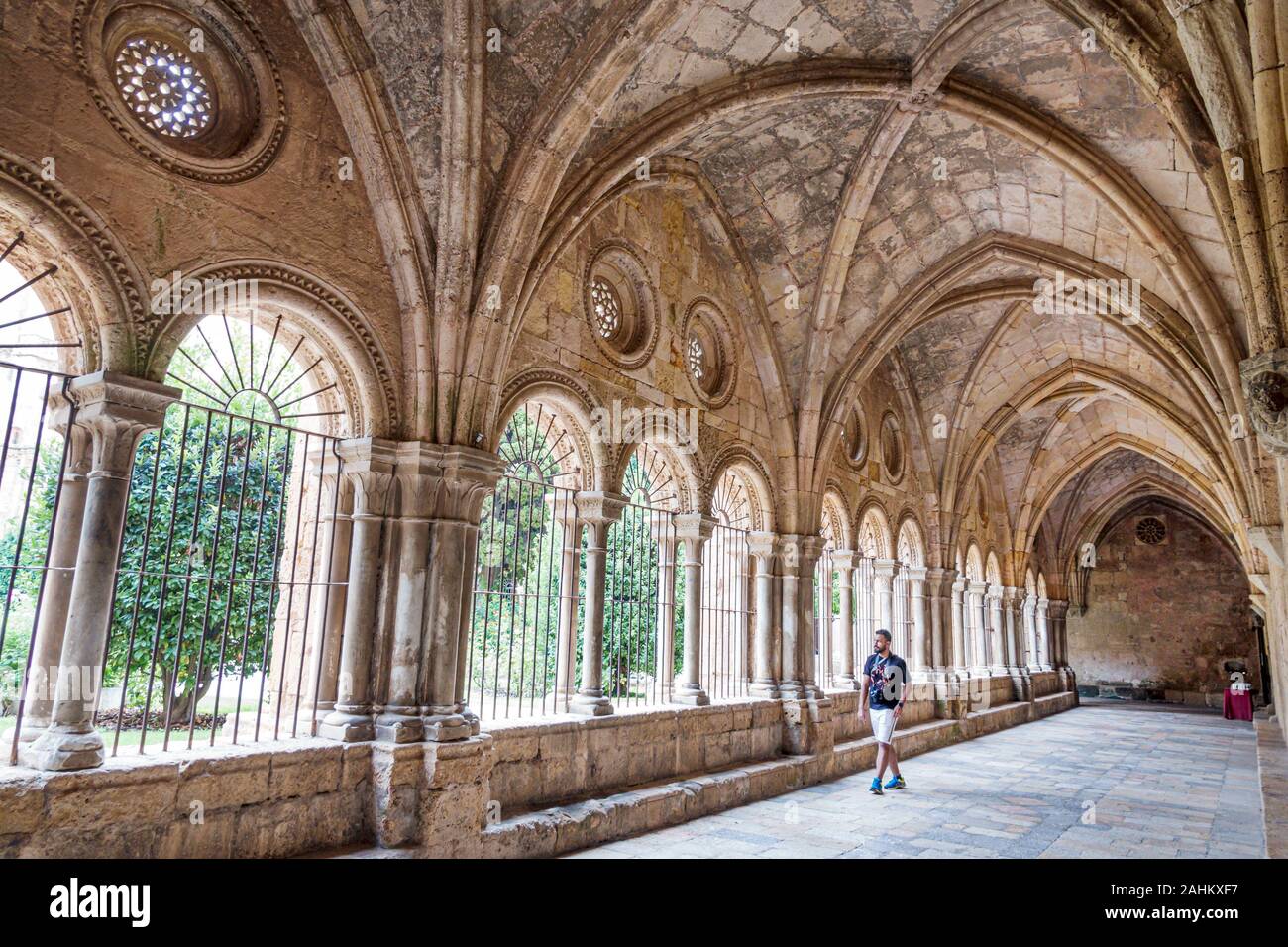 Tarragona Espagne hispanique Catalogne Cathédrale métropolitaine Basilique, Basilique Catedral, église catholique, cloître, cour centrale, voûtes côtelées, homme, recherche Banque D'Images
